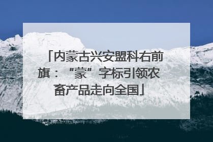 内蒙古兴安盟科右前旗：“蒙”字标引领农畜产品走向全国